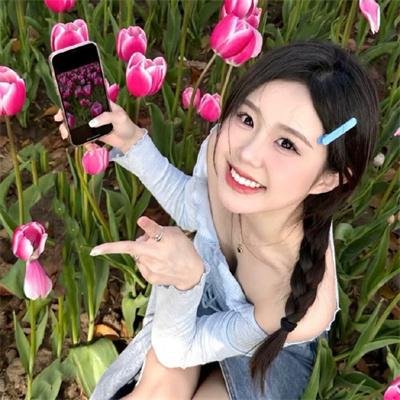 白粉飞第六季