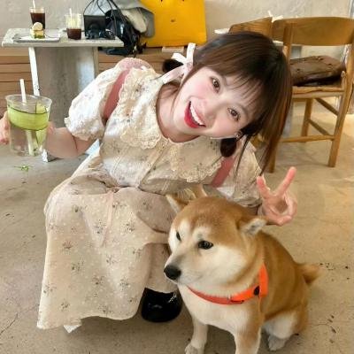 歌手相互论